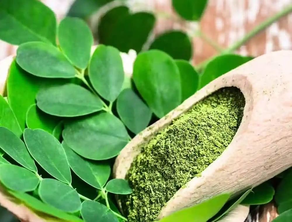 100% Pure Moringa
